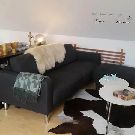 Den Gamle Kobmand Homestay Viborg